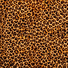 Can a leopard really can its spots?